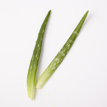 Load image into Gallery viewer, Nourishing Hand Cream