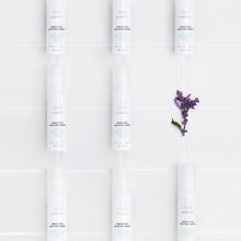 Load image into Gallery viewer, Bakuchiol Booster Serum - Retinol Alternative