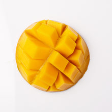 Load image into Gallery viewer, Gel Cleanser