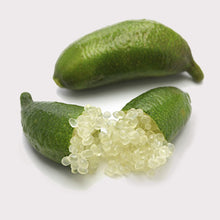 Load image into Gallery viewer, Quench Coconut Mask
